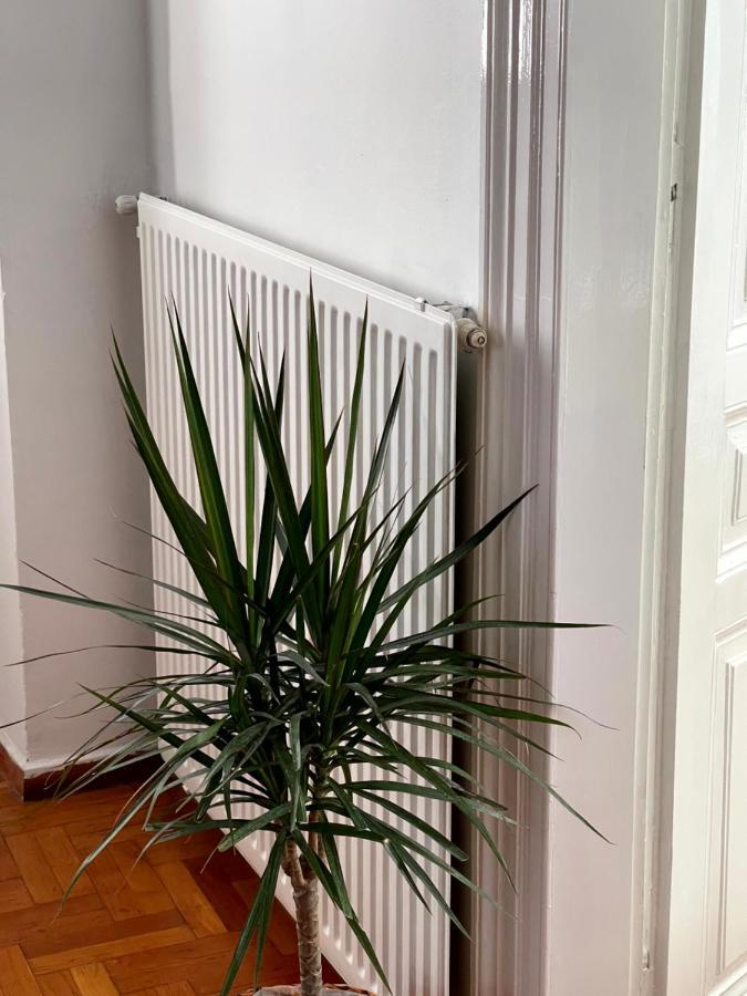 Η Ελπίδα Και Η Γιάννα Ξεκίνησαν Ένα Χώρο Cute Apartment Volos Bagian luar foto