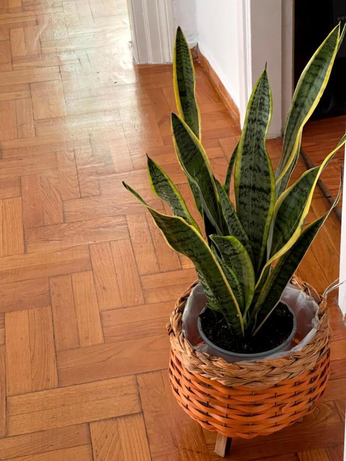 Η Ελπίδα Και Η Γιάννα Ξεκίνησαν Ένα Χώρο Cute Apartment Volos Bagian luar foto