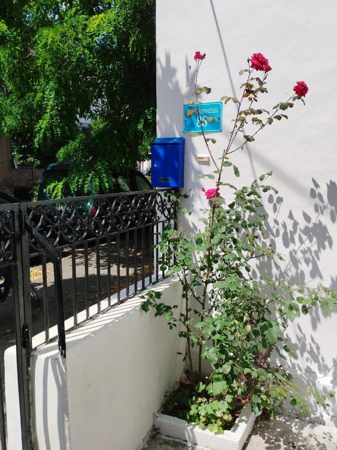 Η Ελπίδα Και Η Γιάννα Ξεκίνησαν Ένα Χώρο Cute Apartment Volos Bagian luar foto