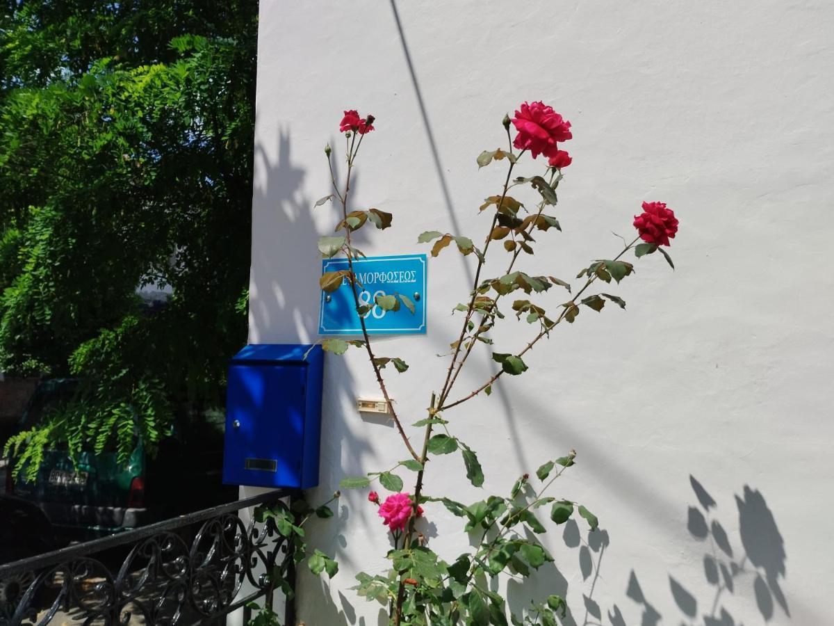 Η Ελπίδα Και Η Γιάννα Ξεκίνησαν Ένα Χώρο Cute Apartment Volos Bagian luar foto