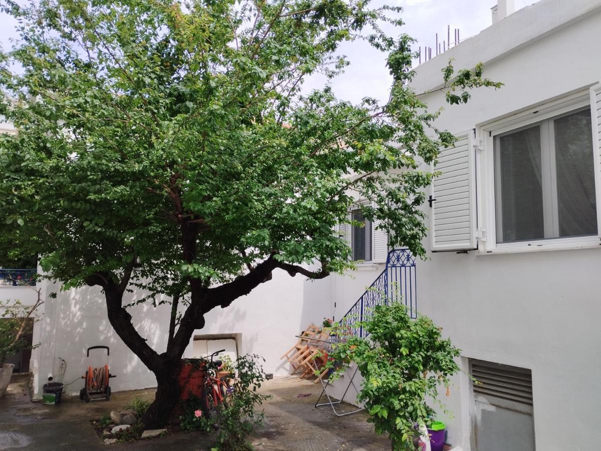 Η Ελπίδα Και Η Γιάννα Ξεκίνησαν Ένα Χώρο Cute Apartment Volos Bagian luar foto